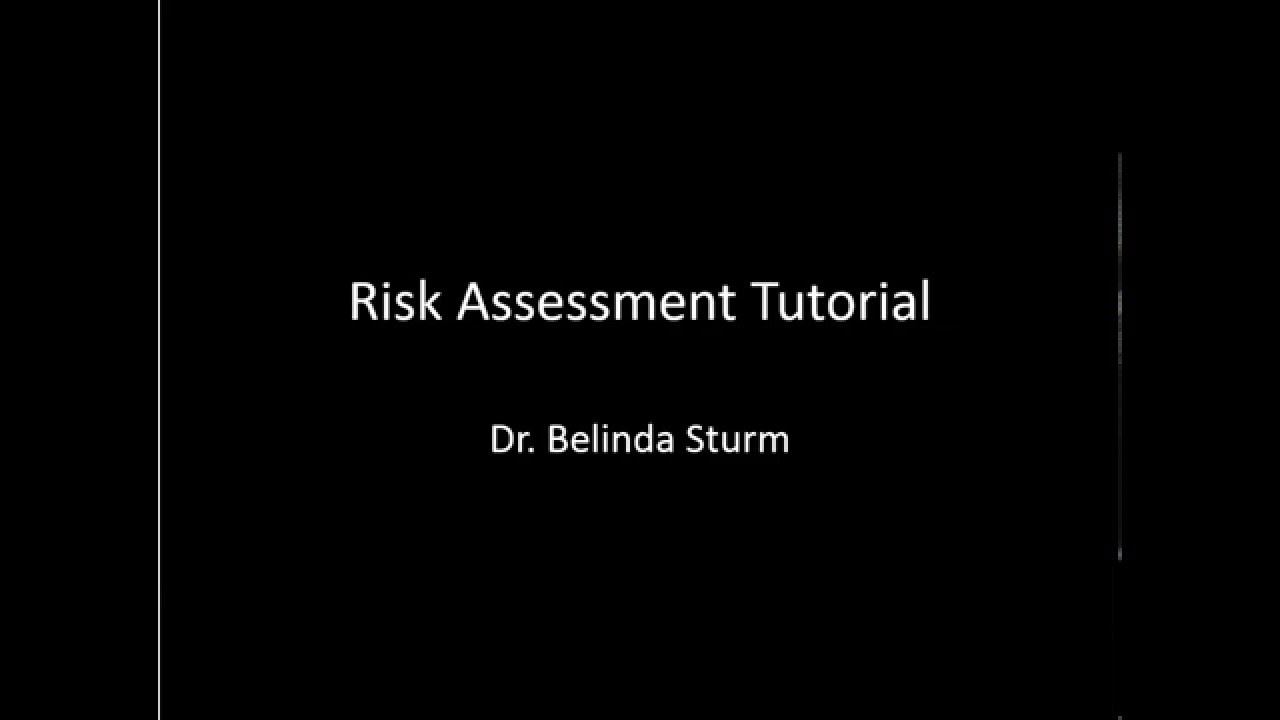 Risk Assessment