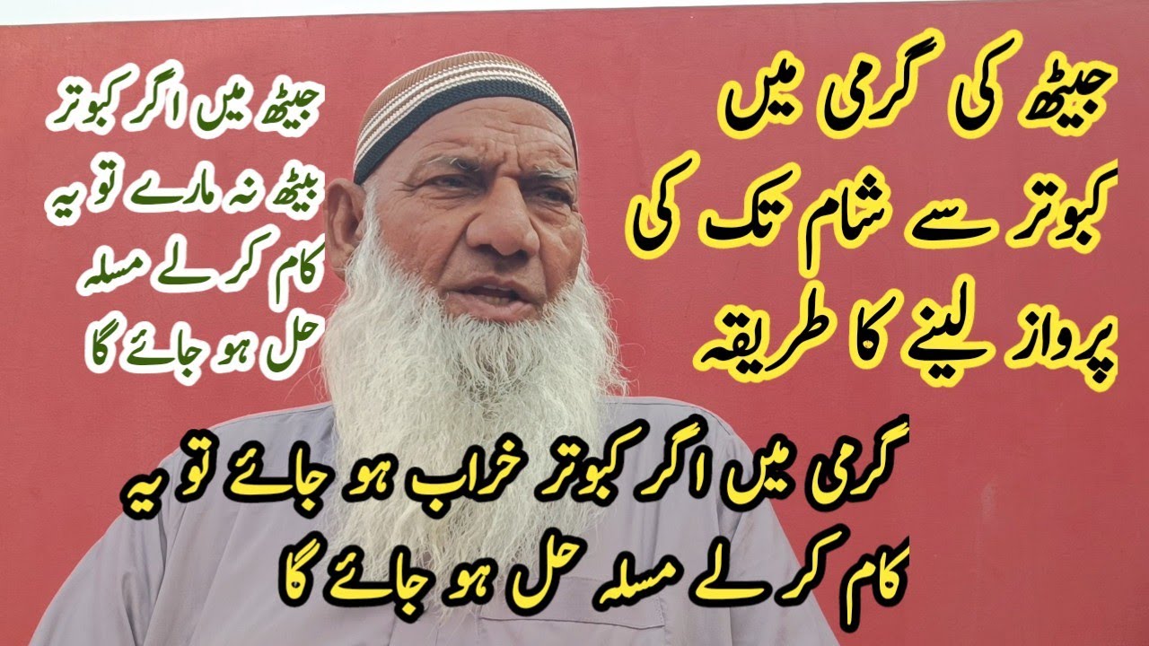 Ustad Baba Abdul Sitar Na Btai Raz Ki Baty || Jeeth Ma Kabotar Ko Sambhalny Wala Pani