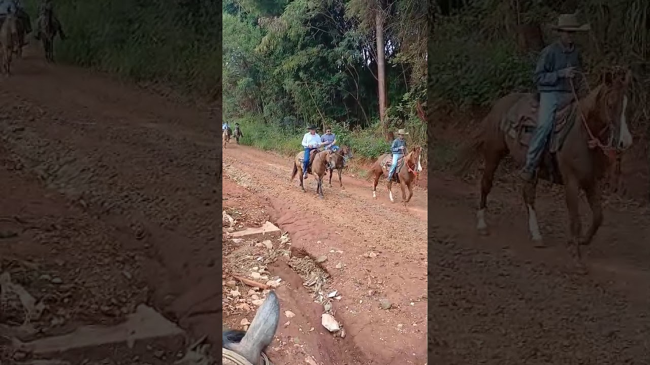 Décima sexta cavalgada da nossa senhora da luz no bairro do cerrado de2026