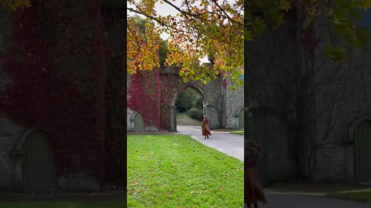 Autumn at Stourhead in Wiltshire 🍂 #autumn #autumnvibes #autumnleaves #england #uk #cottagecore