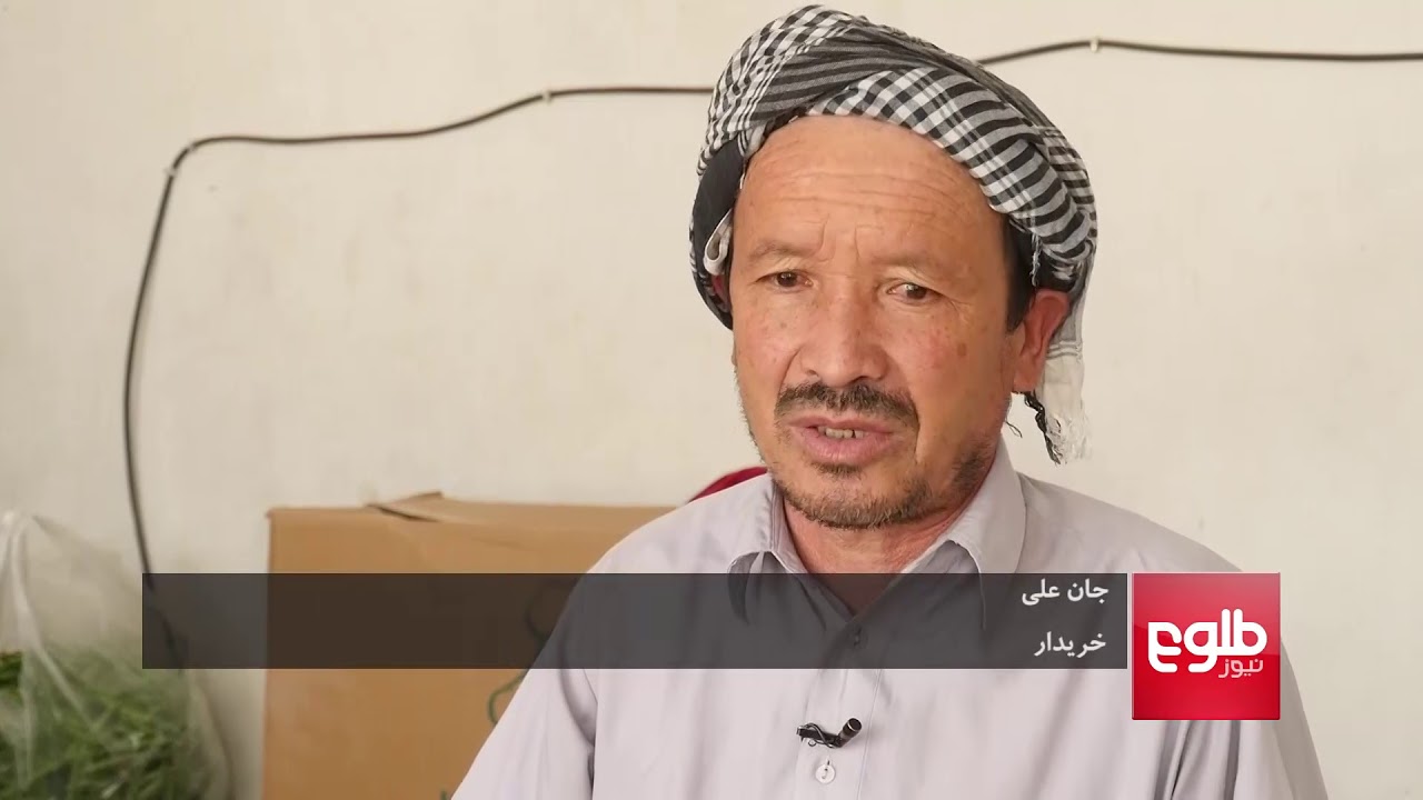 زنی‌که با ایجاد فارم دام‌داری میلیون‌ها افغانی پول پیدا کرده‌است