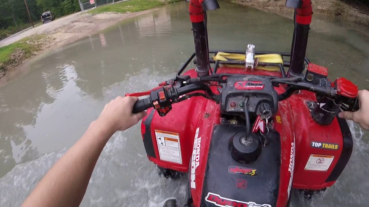 30 silverbacks on recon part 2