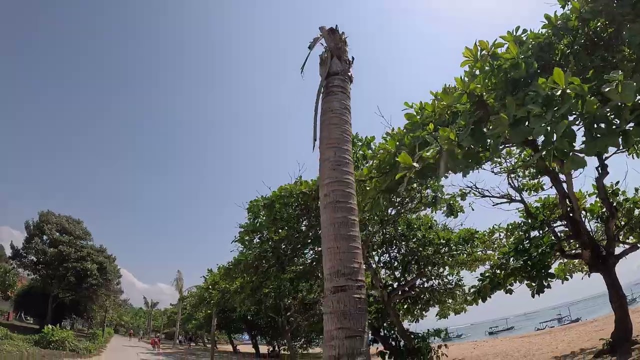 Segara Ayu Beach Sanur Bali 4K Video