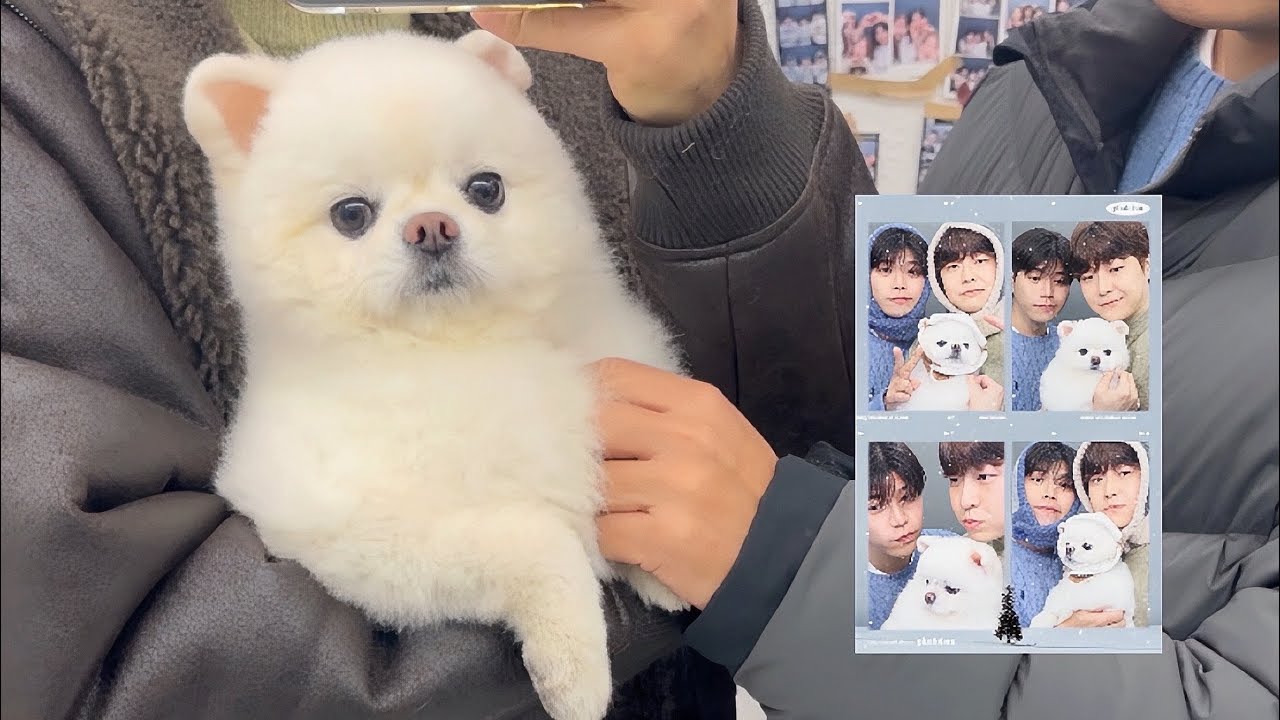 새해부터 큰형 작은형이랑 데이트 하기(큰형 얼굴 공개✨)
