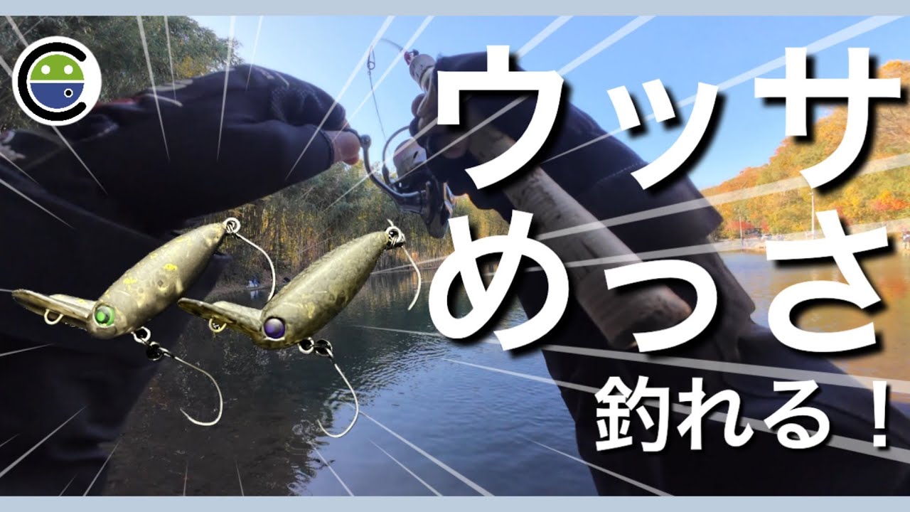 ウッサめっさ釣れる！【エリアトラウト】【裾野フィッシングパーク】【すそのフィッシングパーク】