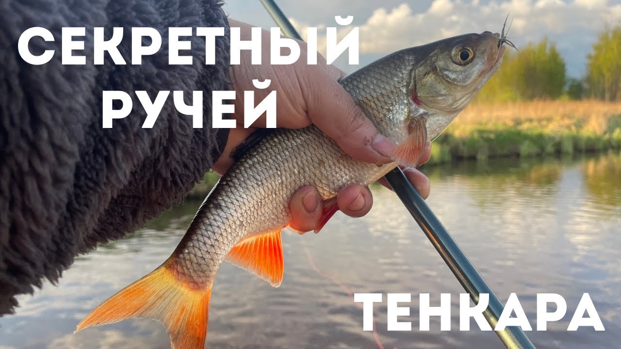 ТЕНКАРА x НОВЫЙ СЕКРЕТНЫЙ РУЧЕЙ #121
