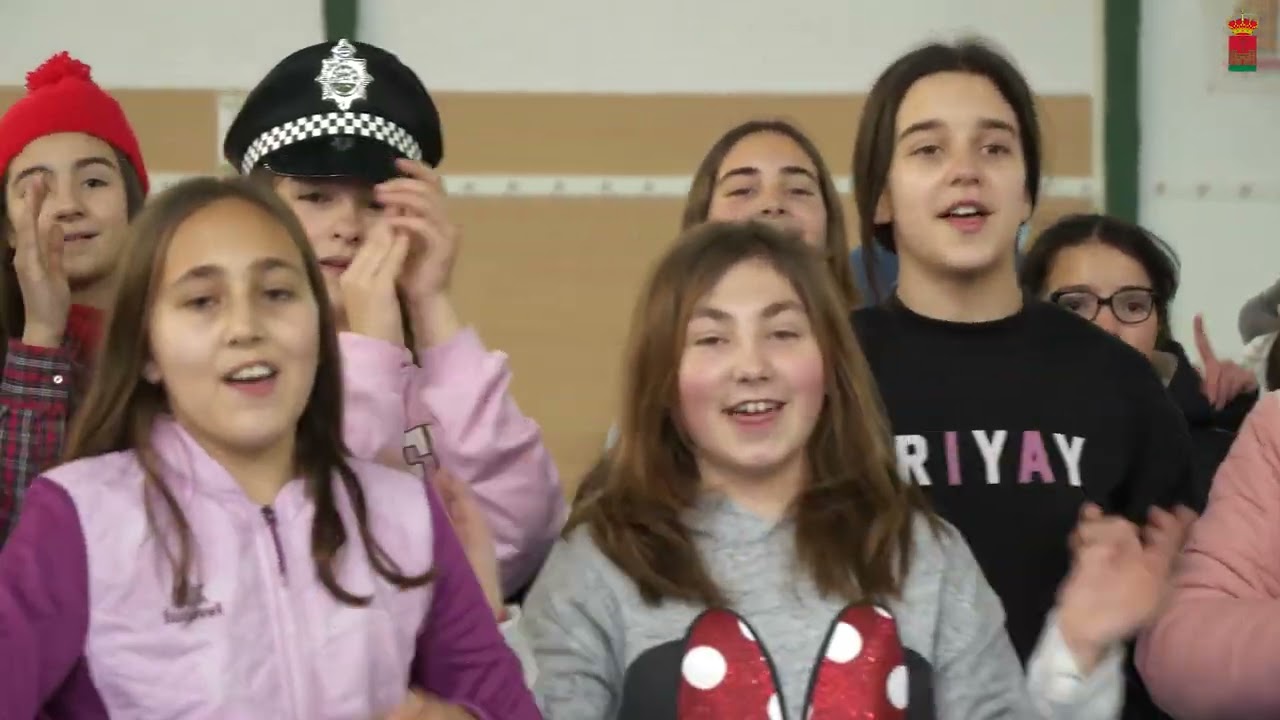 Videoclip 