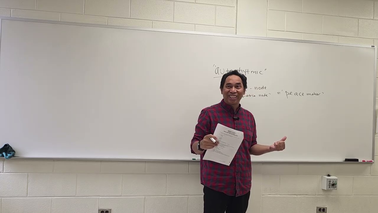 BMS 172 Fundamentals of Anatomy and Physiology II: Review for EXAM 2