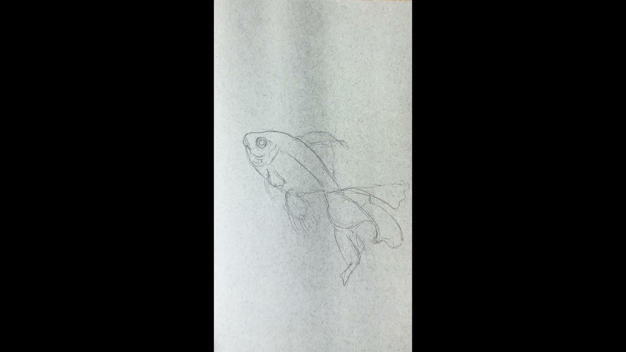 Color Pencil Goldfish on toned paper