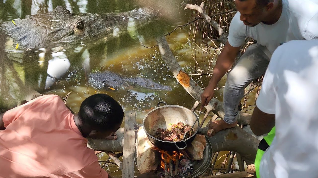 crocodile stew pork swamp beast - rice in sweet peas