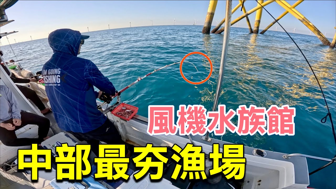 中部最夯的離岸風電釣場根本就是水族館！！想辦法餌送到它家就咬了，魚種豐富起來十尾魚都不同品種！#釣魚 #風車 #海鮮