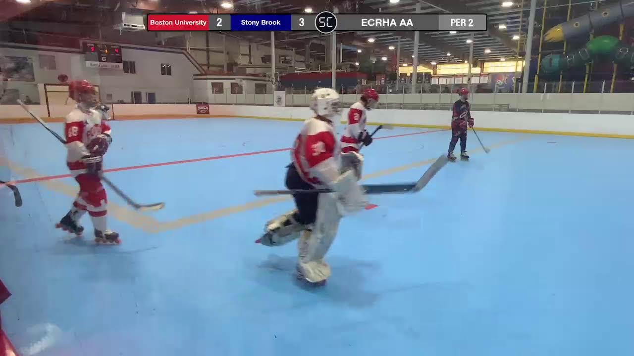 Boston University (AA) vs Stony Brook (D3)