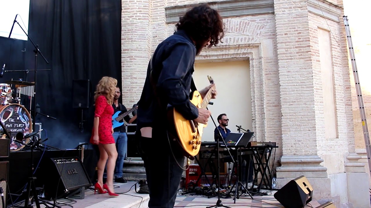 Kid Carlos Band 