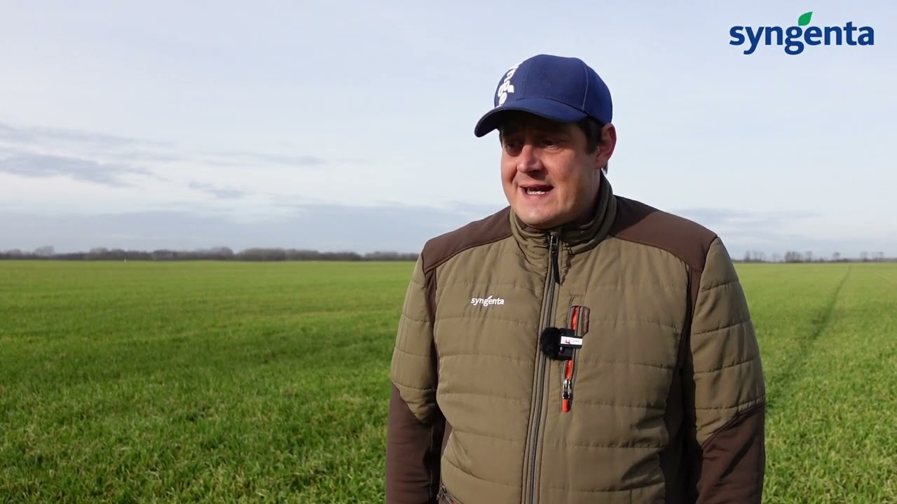 🌾 Hogyan védjük meg az őszi árpát a korai időszakban? | Syngenta