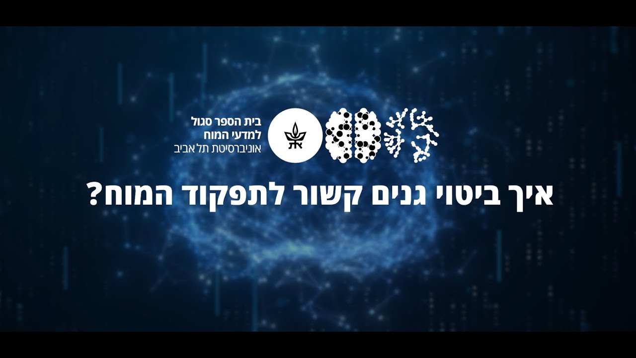 איך ביטוי גנים קשור לתפקוד המוח?