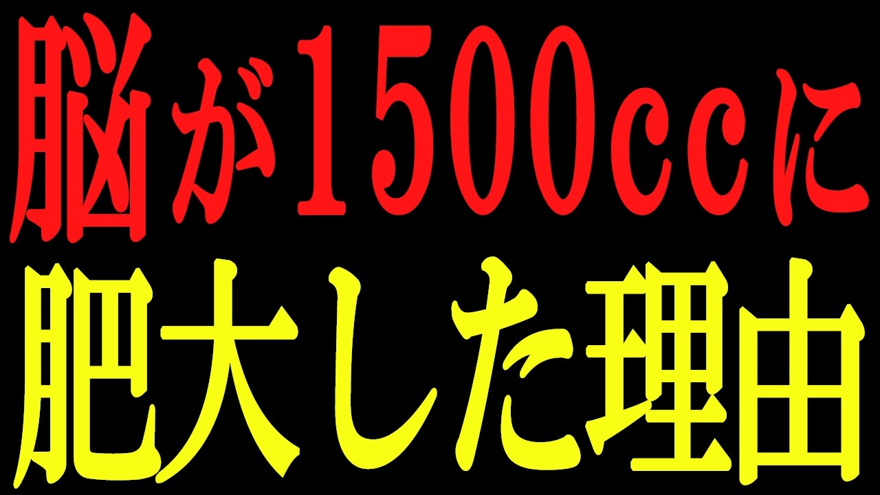 【常識崩壊】なぜ「脂」を食べるほど長寿になるのか？最新最古の若返り技術。『なぜ脂質で痩せるのか？』金森重樹さんとの対談