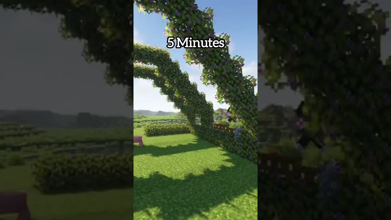 Evergreen Garden At Different Times (World's Smallest Violin) #shorts