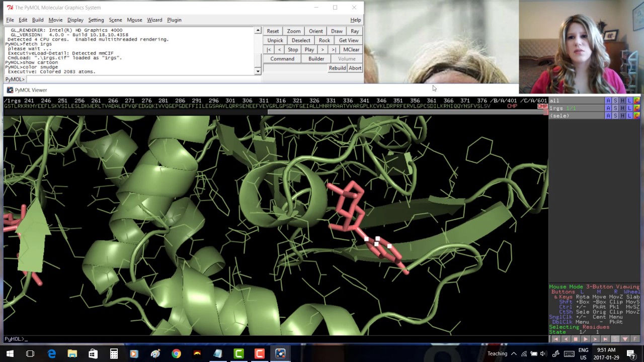 Pymol для начинающих — видео 4: водородные связи