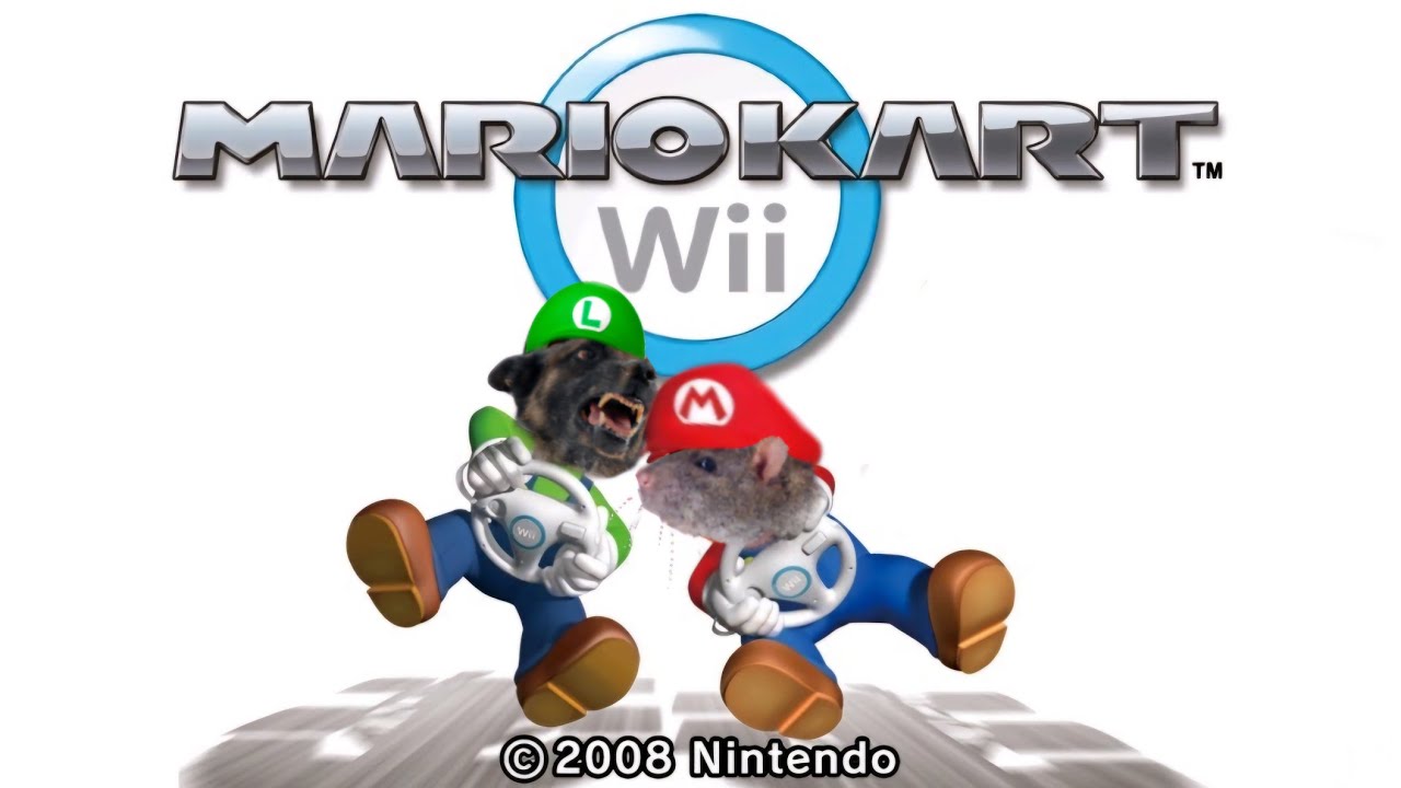 Lekker karten met LekkerSpelen - Mario Kart Wii