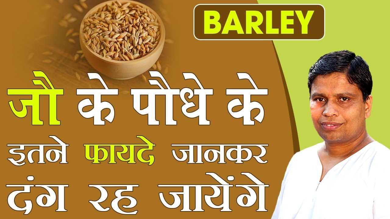 जौ (Barley) के पौधे के इतने फायदे जानकर दंग रह जायेंगे | Acharya Balkrishna
