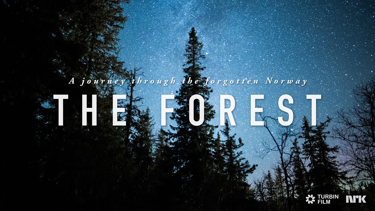 THE FOREST - A Time-Lapse Journey Through the Forgotten Norway 4K