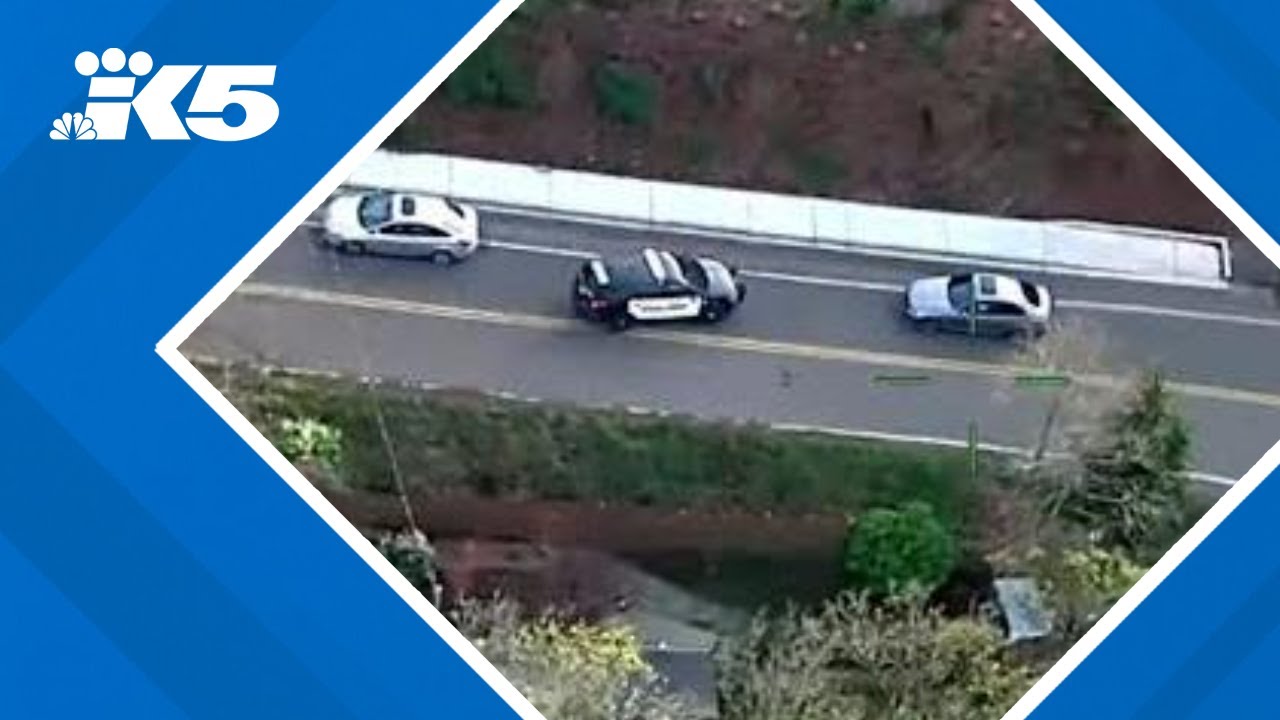 RAW: New video shows police chase of reckless driver in Kent