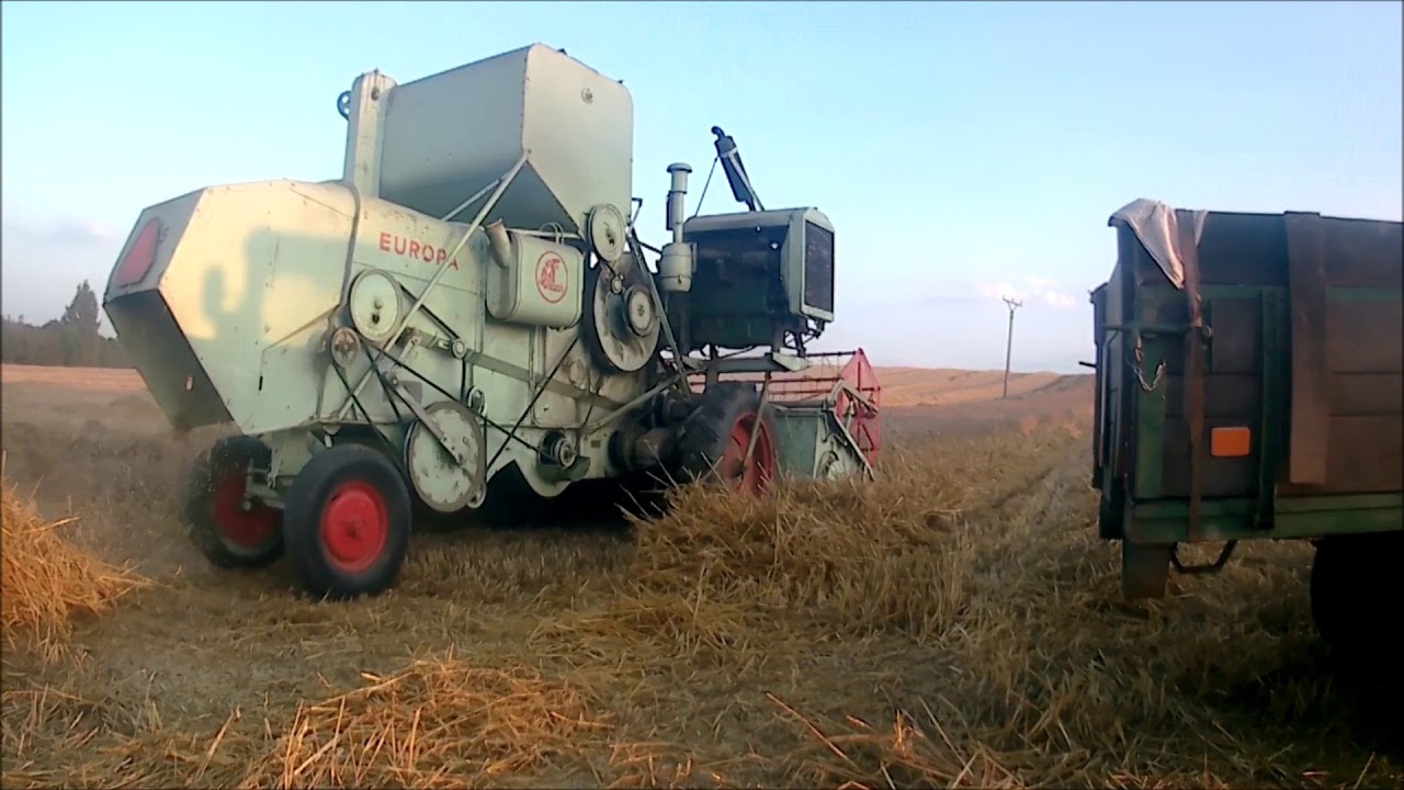 Claas Europa | pšenice 2018