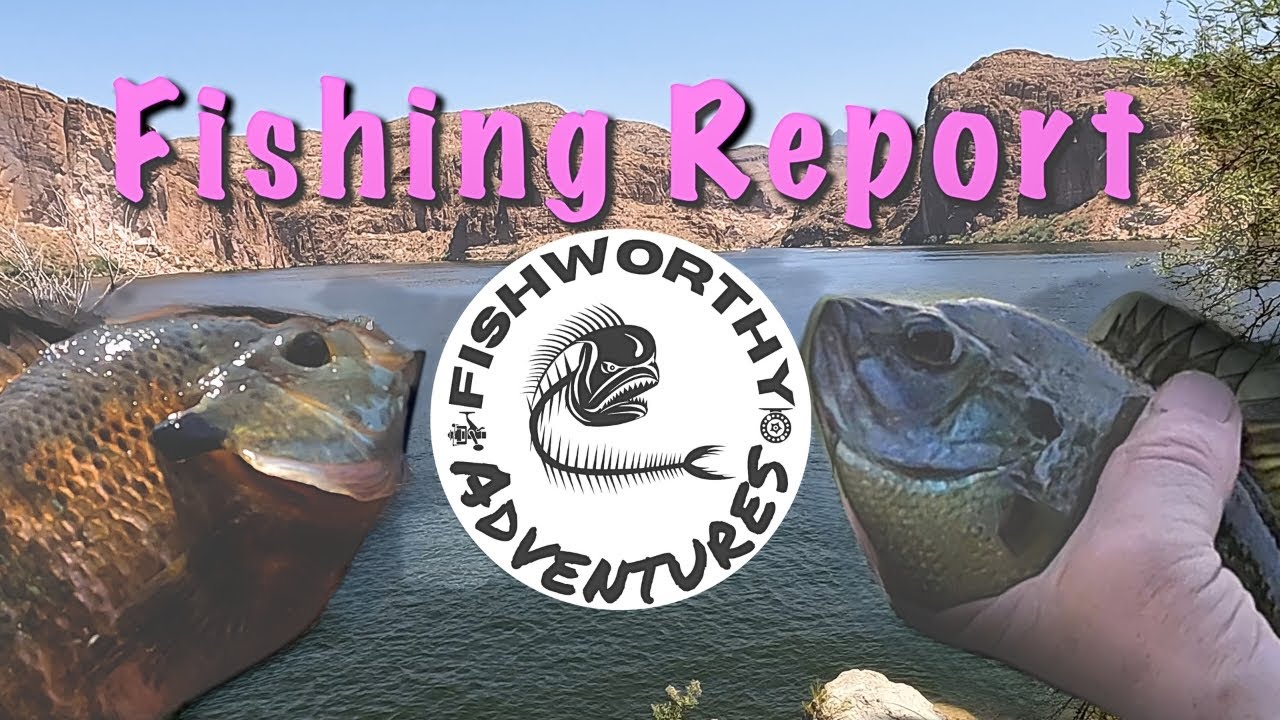 Canyon Lake Fishing Report - Arizona Salt River Fishing - Fishing in the HEAT!