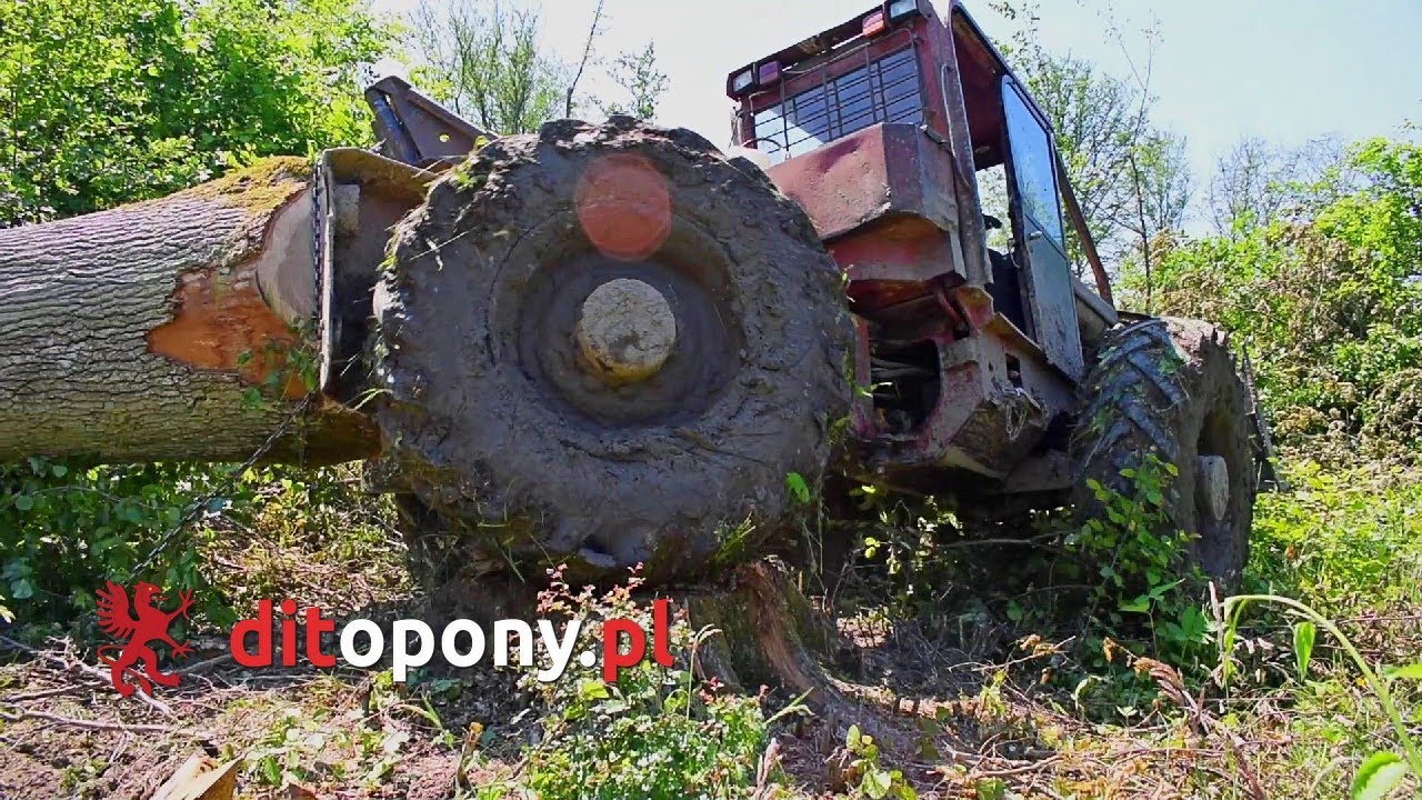 Zrywka dłużycy przez LKT w pomorskim lesie na oponach Seha SH-38