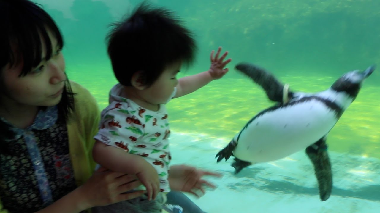 葛西臨海水族園に行ってきました
