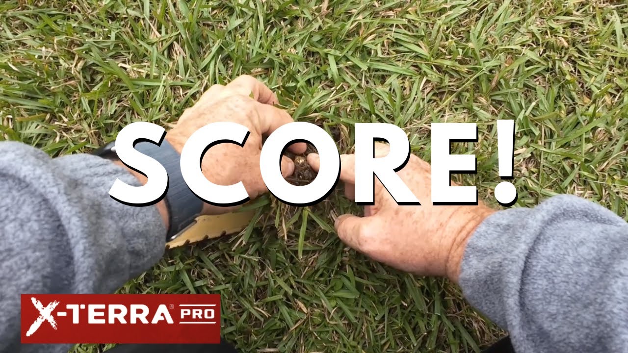 Minelab X-Terra Pro находит золото!