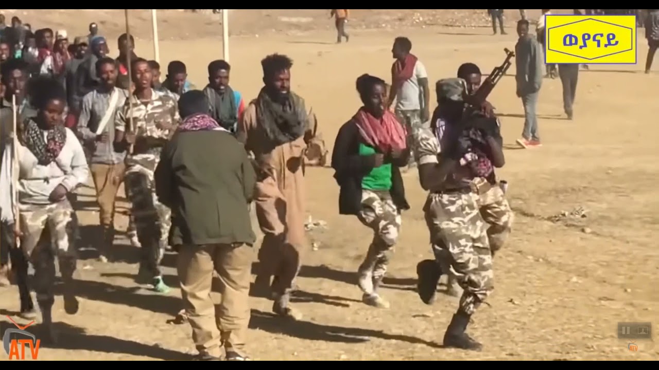 Tigray Defense Force-TDF