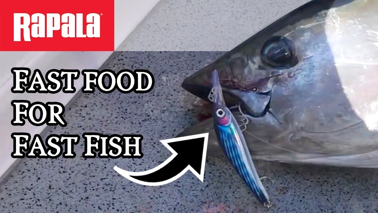 TESTING the new, high speed X-Rap&reg; Magnum&reg; Xtreme on big tuna in Australia | Rapala&reg;