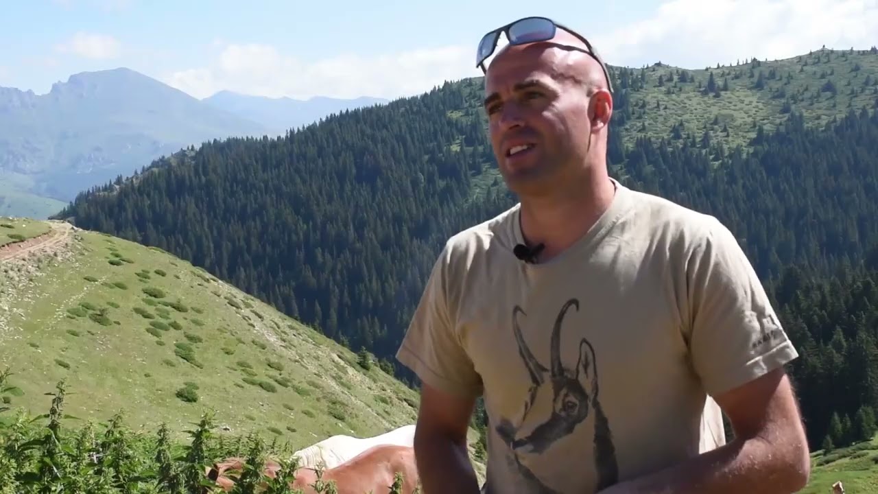 Без овци, ќе се наруши еко системот на Шар Планина