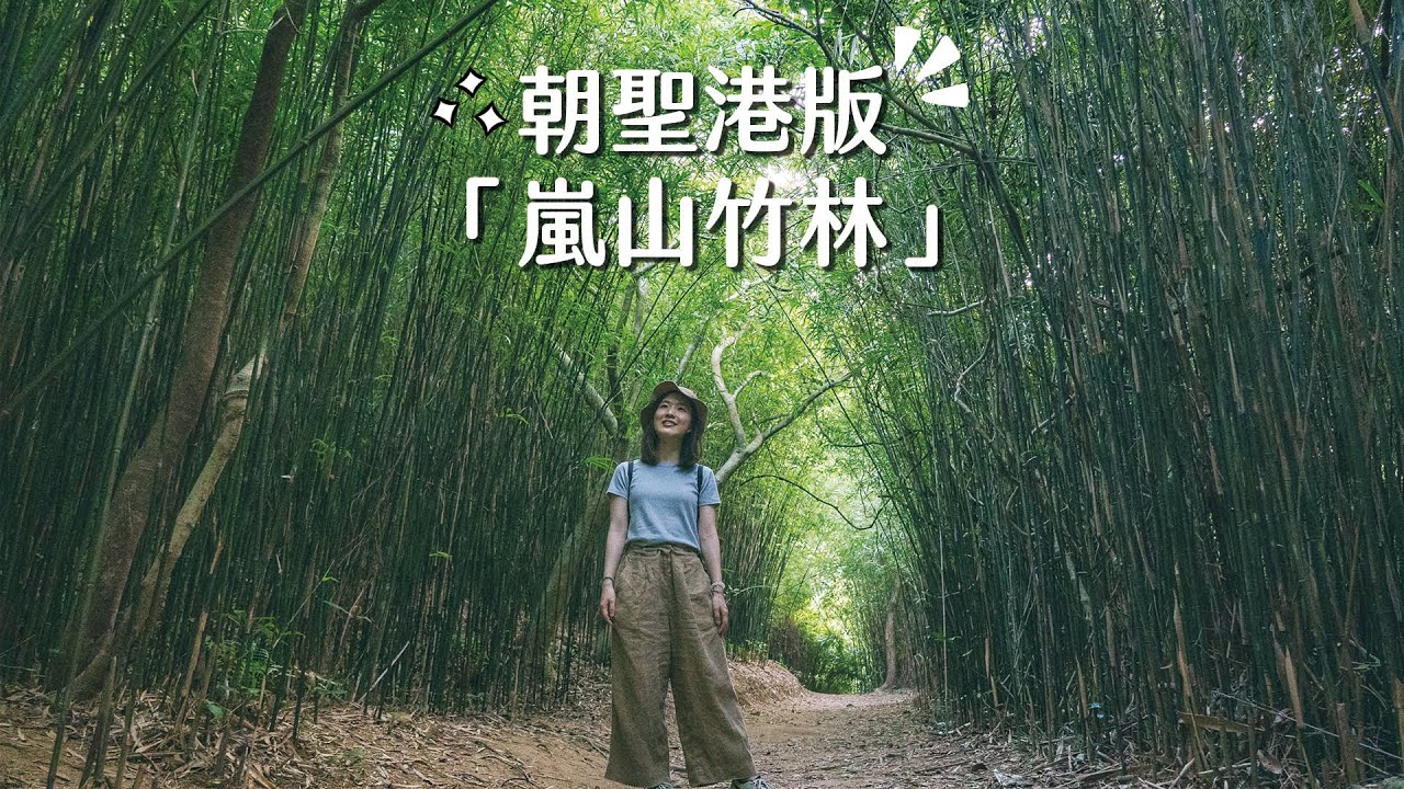 【貝遊香港】朝聖港版「京都嵐山竹林」→河背水塘家樂徑 *航拍