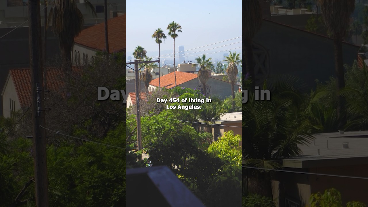 Day 454 of Living In Los Angeles 🌴 