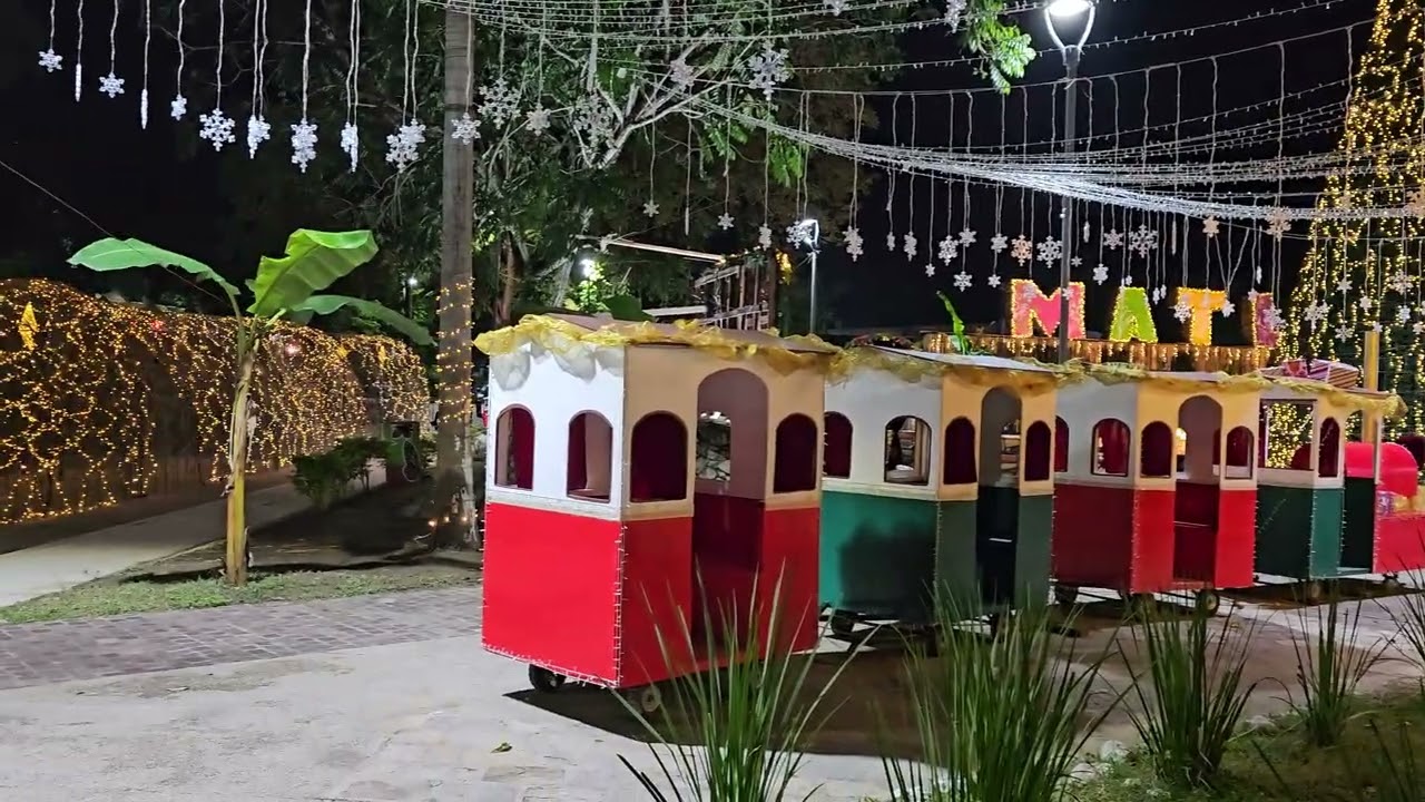 presidencia matlapa navidad 2025