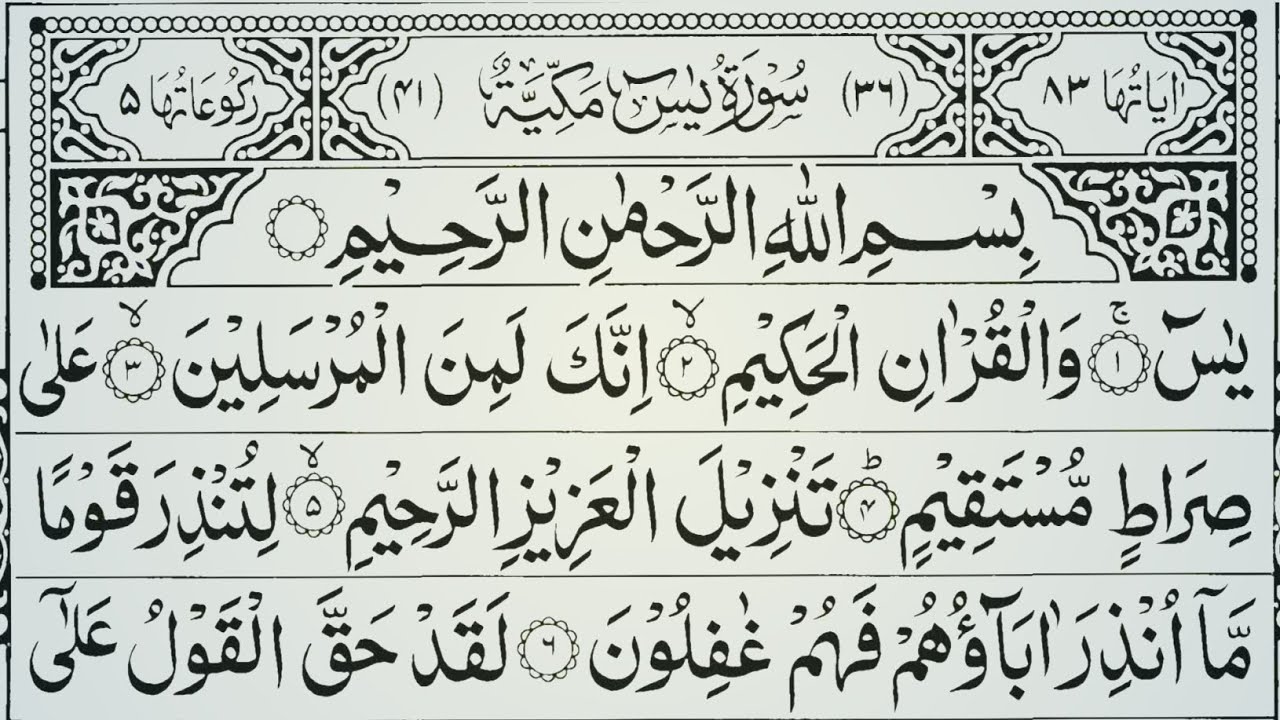 Surah Yaseen full With Arabic Text📖 Surah Rahman tilawat 💝 Surah  Mulk | Ayatul Kursi | Quls🍁Vol.805
