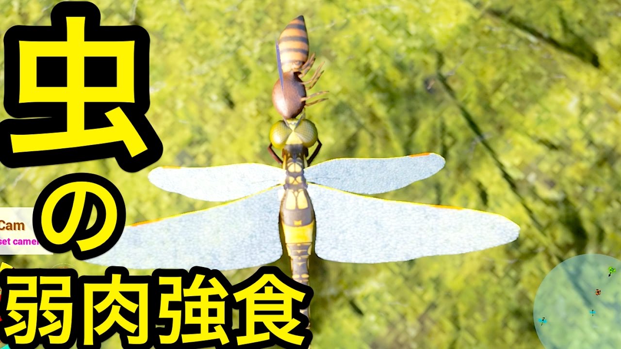 （トンボはハチを食べます）トンボの人生を体験してみたがコイツ強すぎw【Drunk on Nectar】実況
