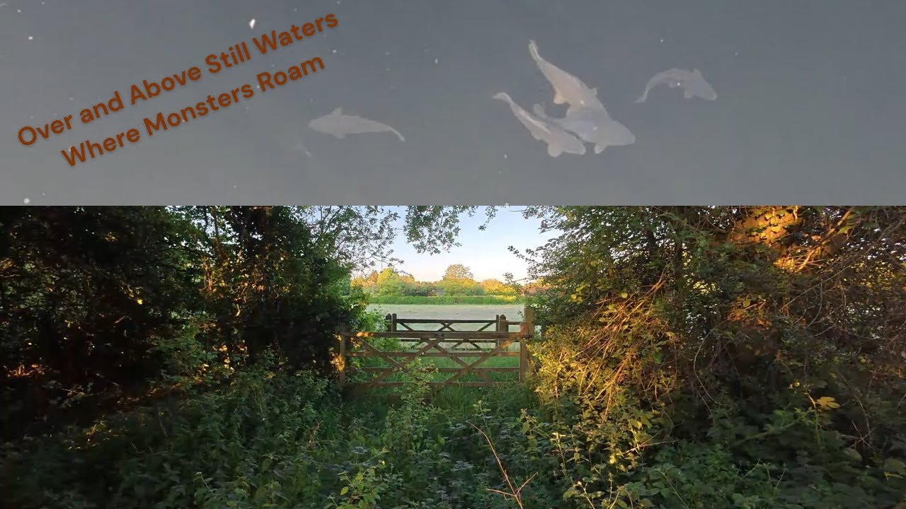 Over and Around Still Waters ( Where Monsters Roam! )