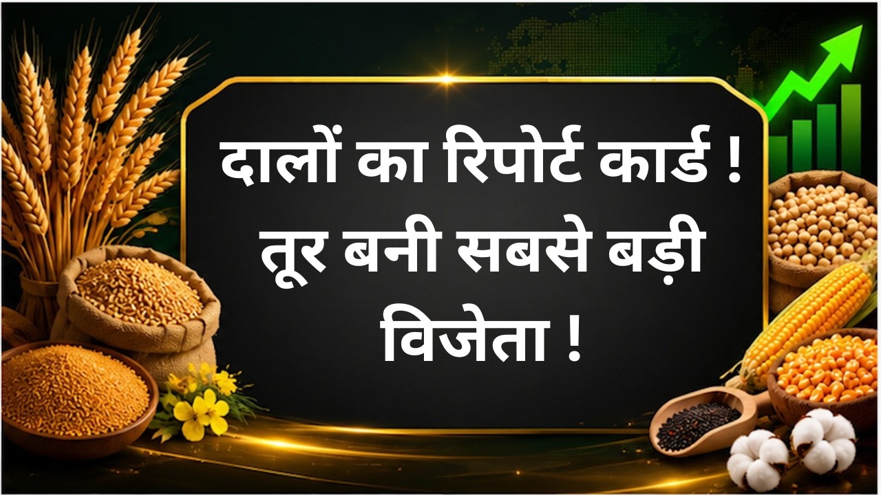 दालों का रिपोर्ट कार्ड  ! तूर बनी सबसे बड़ी विजेता ! #chana #pulses #tuar #masur #moong #production