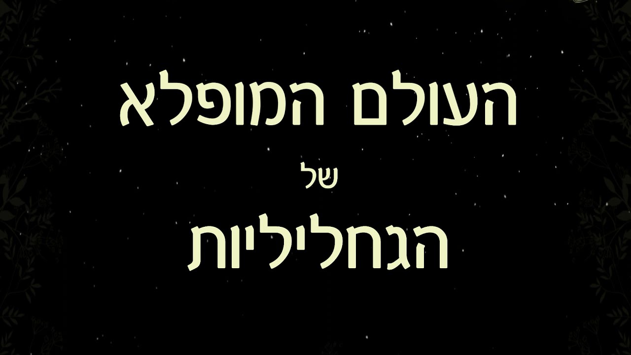 העולם המופלא של הגחליליות