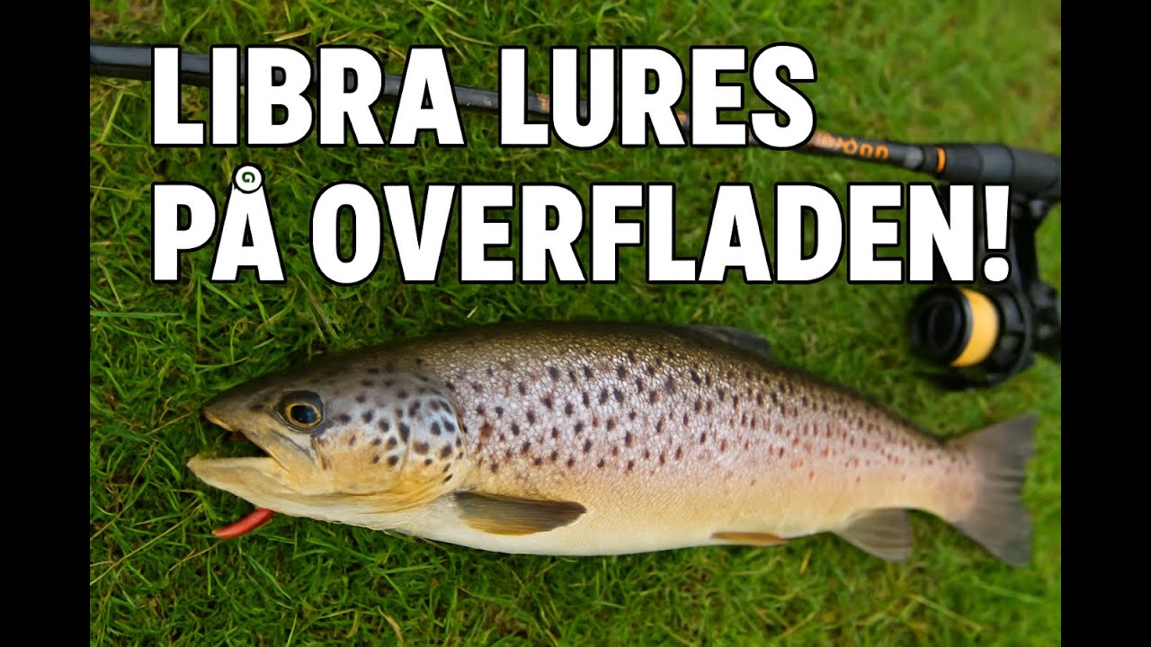 Efterårs tur til Hovborg Fiskesø del. 2