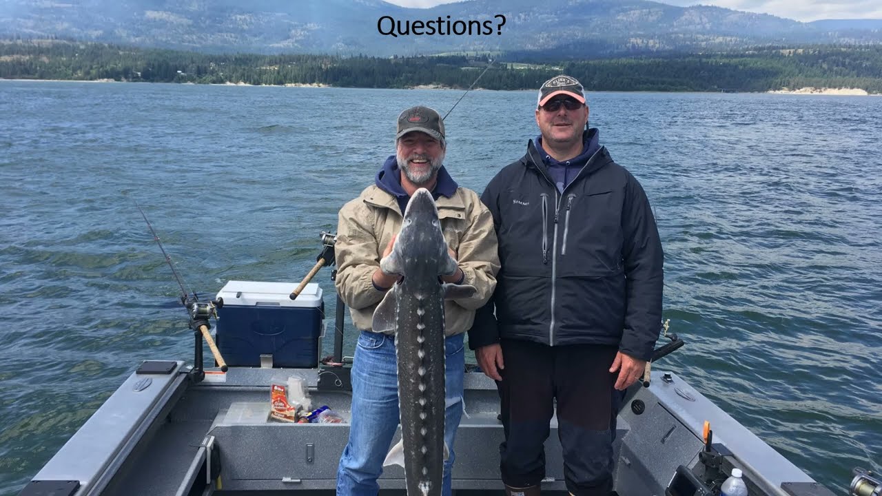 Lake Roosevelt sturgeon season changes presentation
