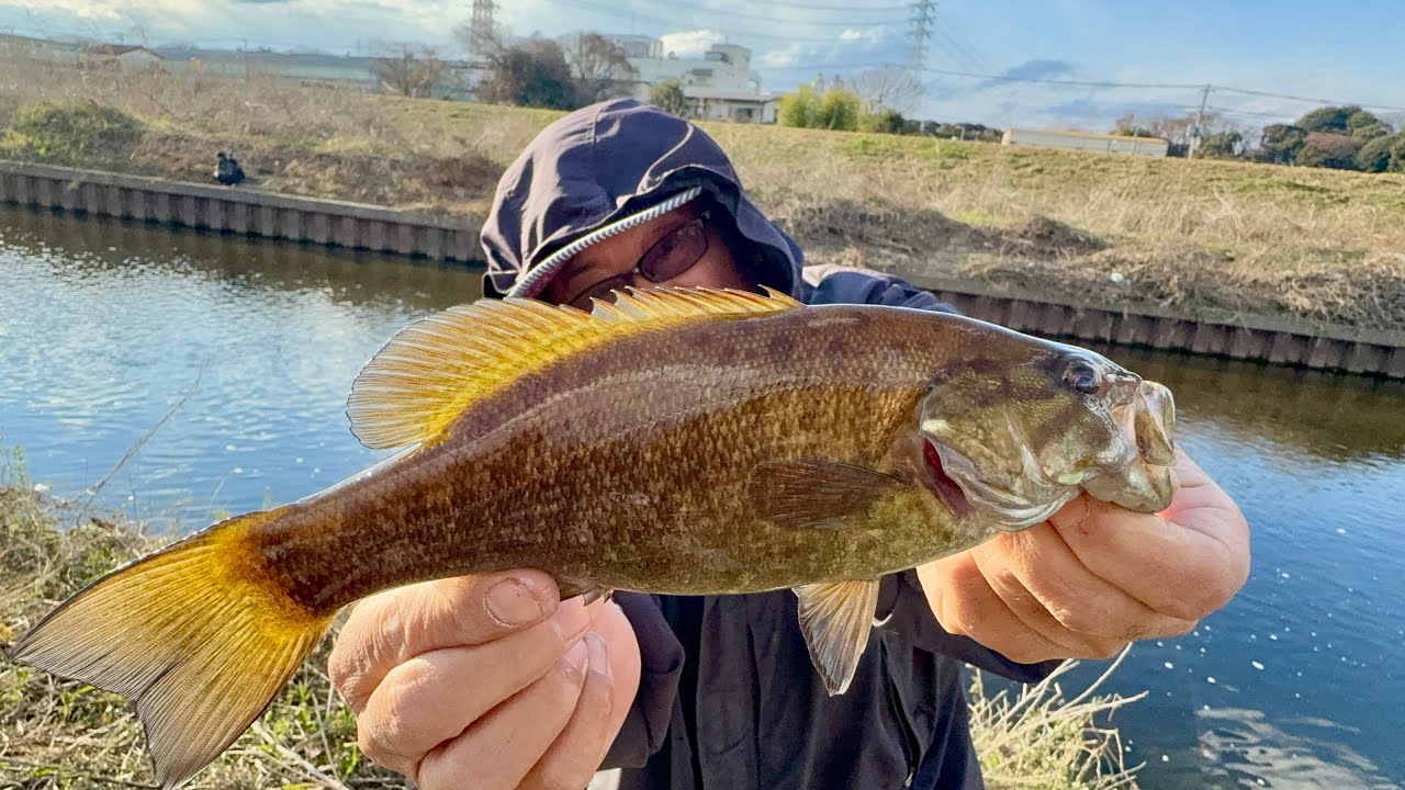 明けましておめでとうございます初バスフィシングNew Year Fishing 🎣 