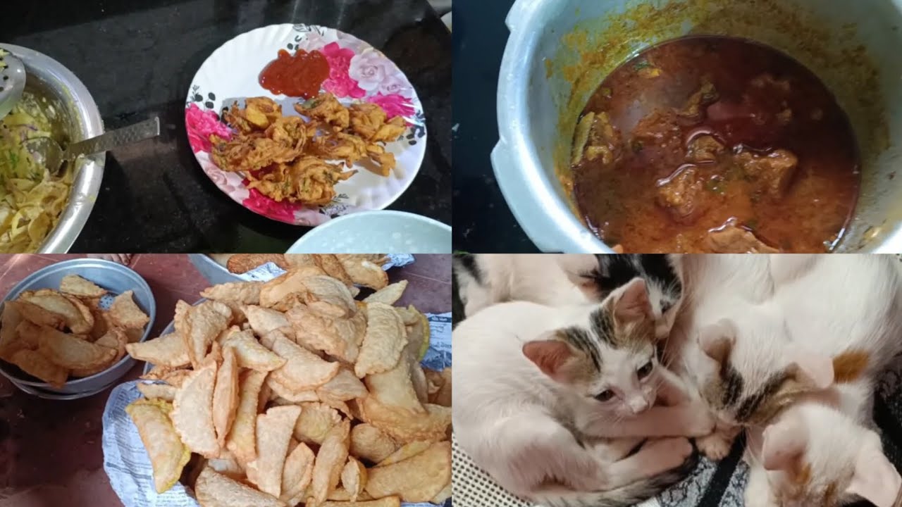 Lunch prep | mutton sukha | evening snack | pakode | puri | vlog | cute kitten's |#food #yt #viral 