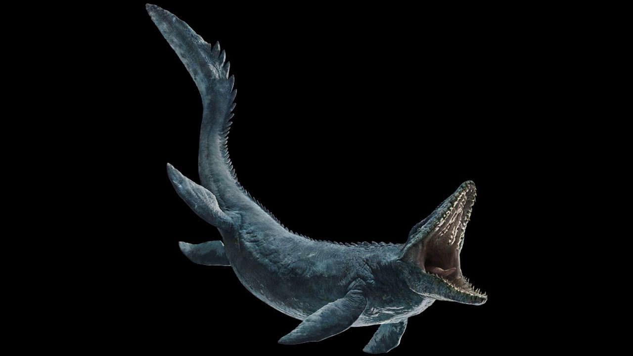 Mosasaurus J.W
