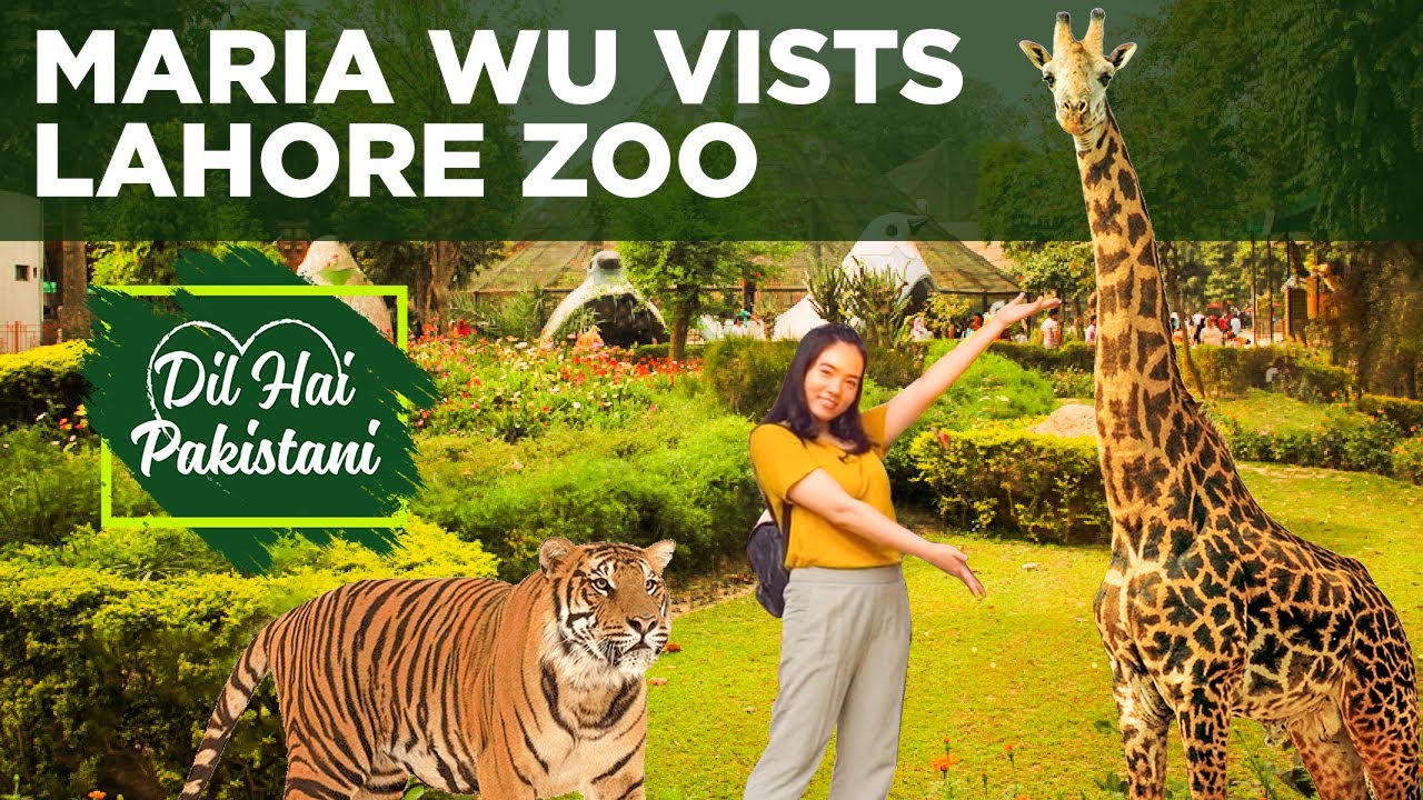 Chinese Star Maria Wu Visits Lahore Zoo | Dil Hai Pakistani