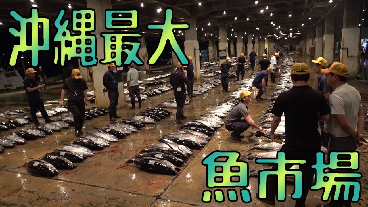 沖縄ーのセリに行ってみた！