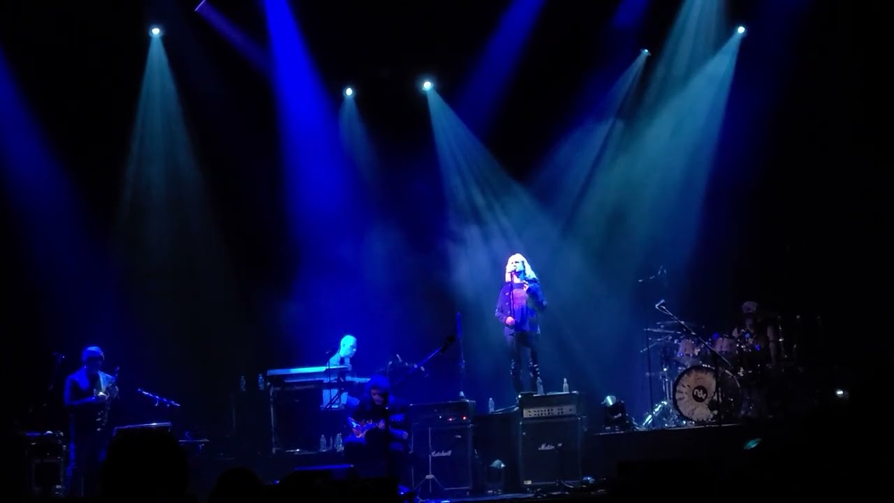 Steve Hackett 